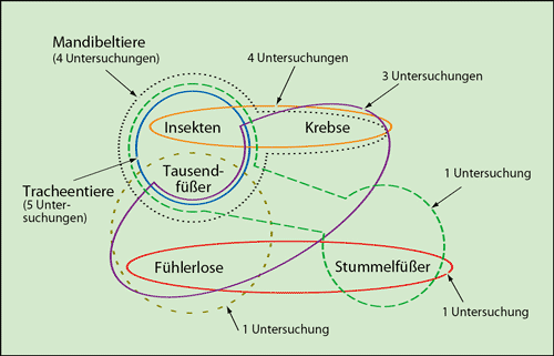 Bild in Originalgröße